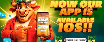 Pakistan slots gaming platforms comparison 2026